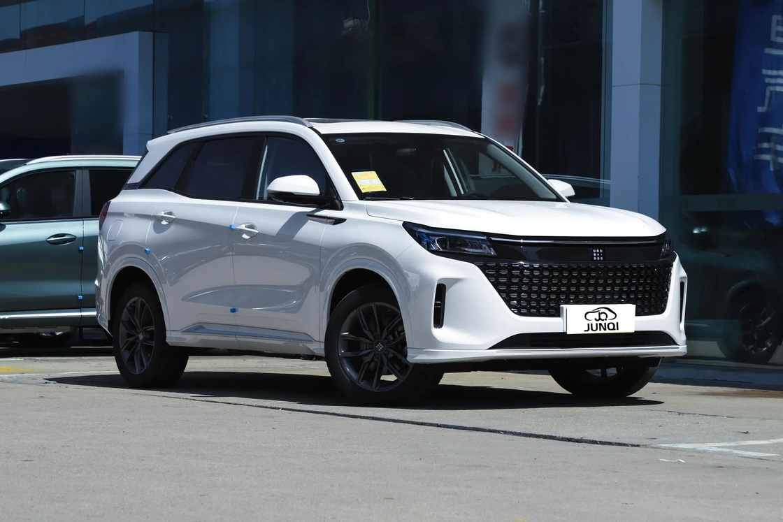 ブルー・エレクトリックE5 セレス 電動車 価格も安く 排出量も少ない運転