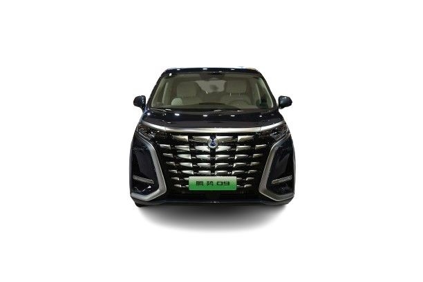 テングシ-D9 バイド デンザ D9 Dm-I 4WD フラグシップ MPV ファストフェフ 電気自動車