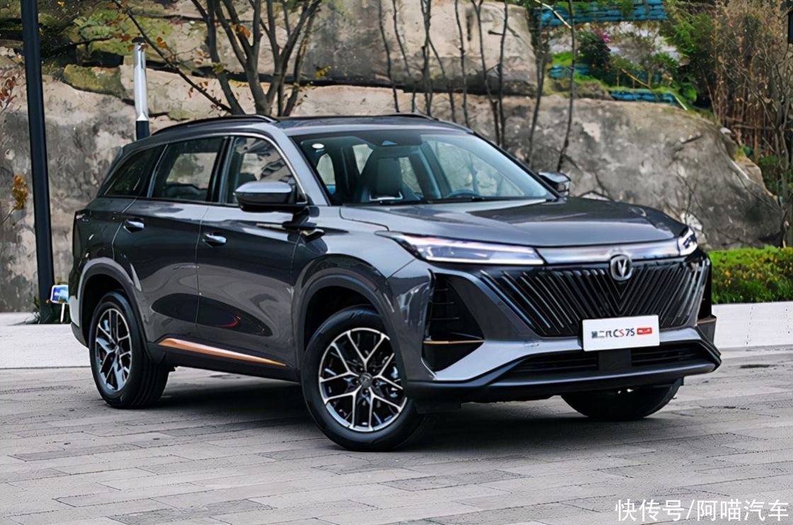 中型チェンガン 汽車 ガソリン エネルギー型チェンガン CS75 Plus