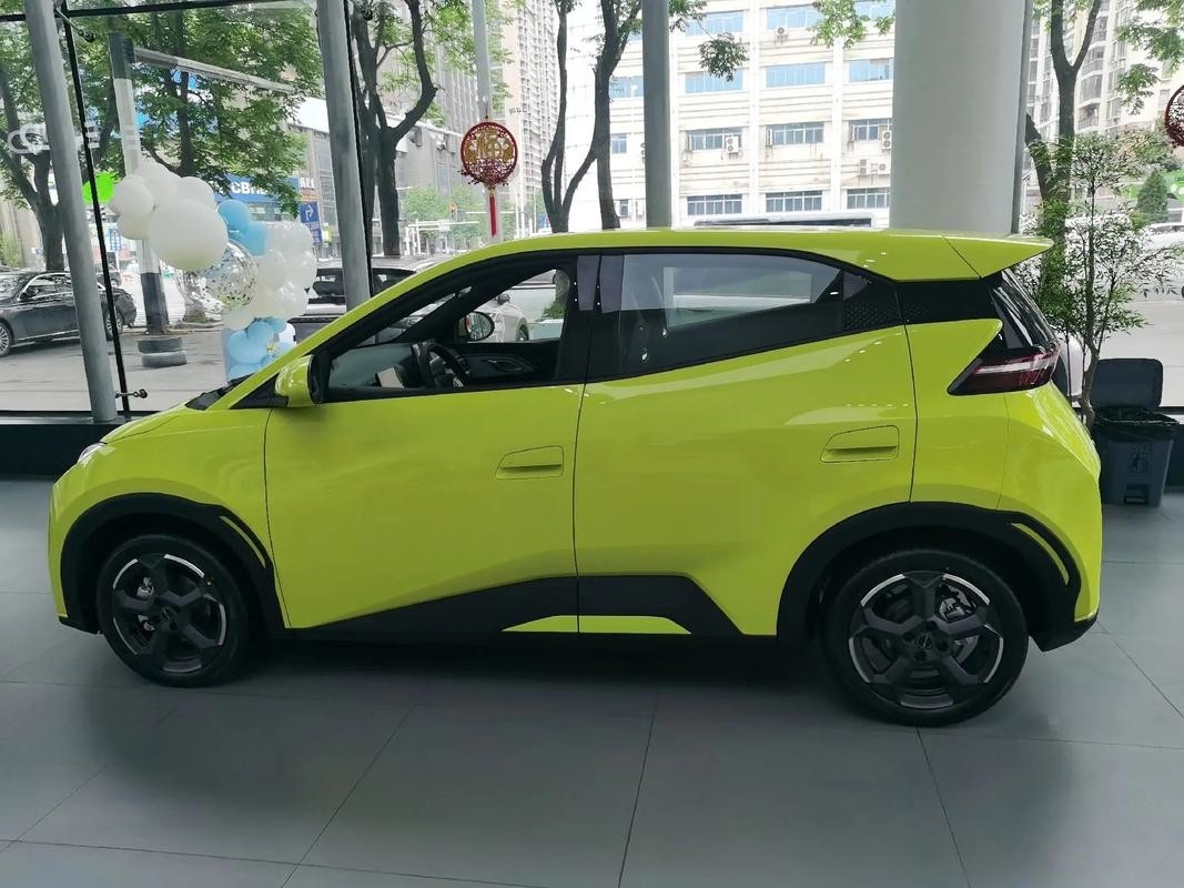 バイド・シーガール 2024 名誉版 305km 無料版 電動車 新エネルギー車