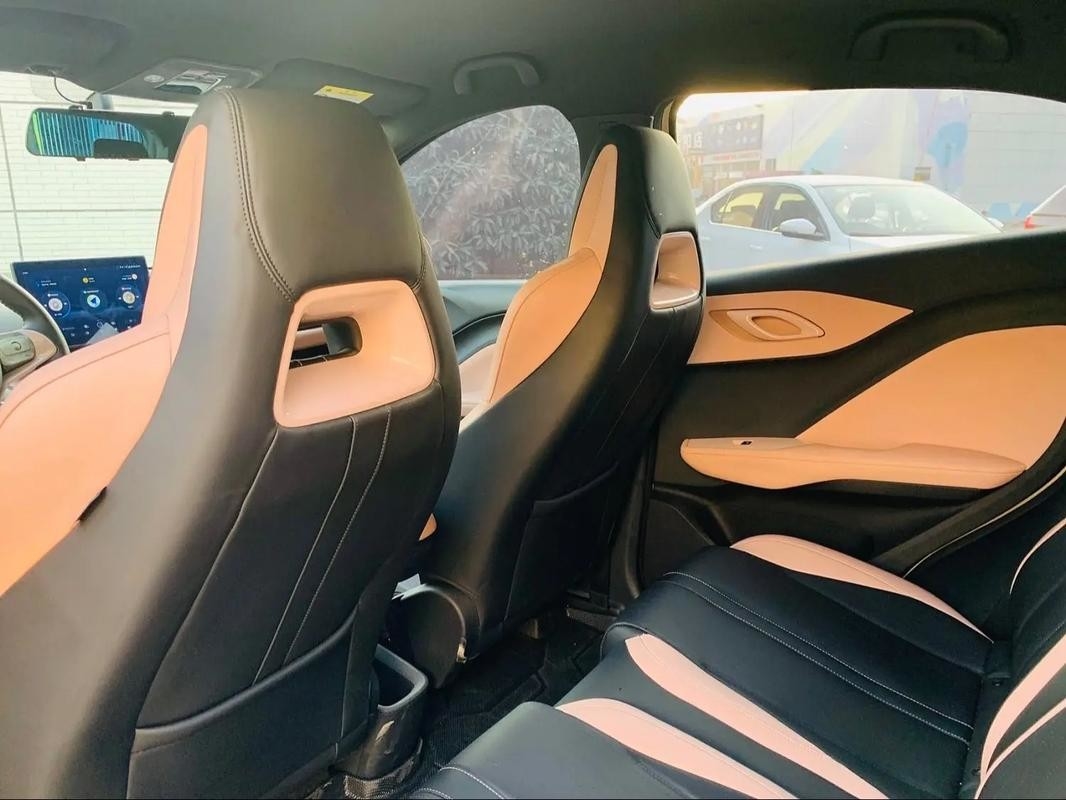 多彩 オプション 中古電動車 バイド イルカシカ カメ 販売