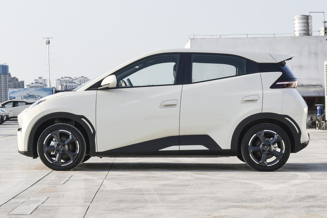 バイド・シーガール 2024 名誉版 305km 無料版 電動車 新エネルギー車