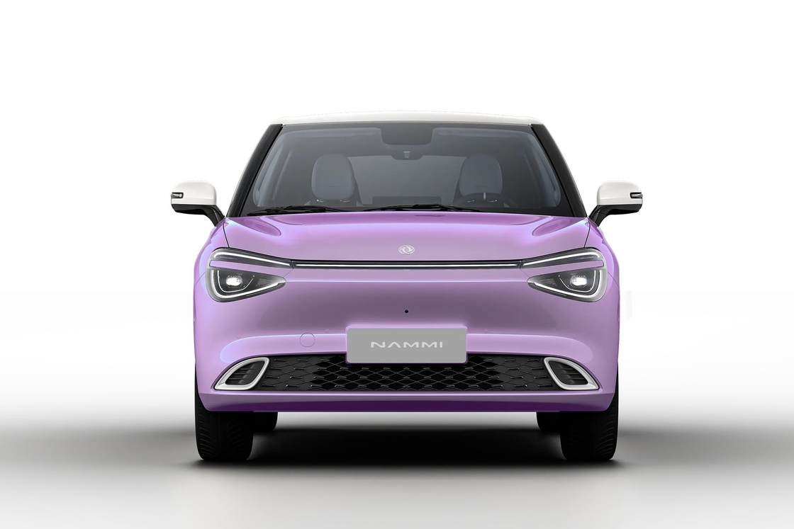 ドンフェンド ドンフェング ドンフェング ナミ01 EV メーカー 電気自動車 ナノナミ01 安い スマートナミ01 ミニナミ01